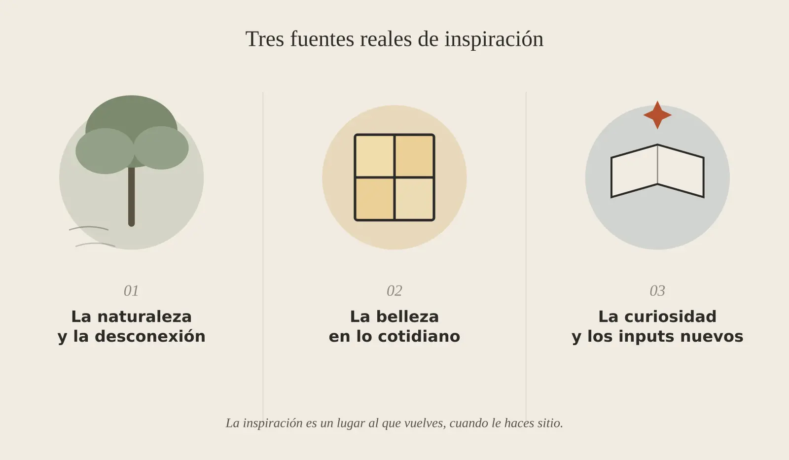 Tres fuentes reales de inspiración: naturaleza, belleza cotidiana y curiosidad